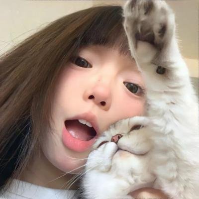 我是猫