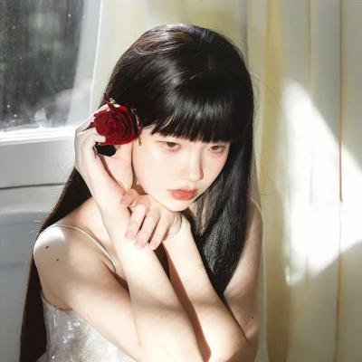 冬鹰